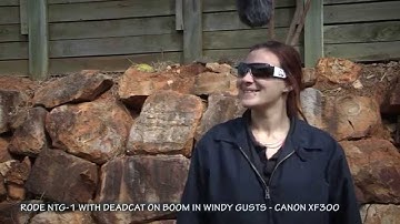 Rode NTG-1 Dead Cat Test On Home Made Mic Boom