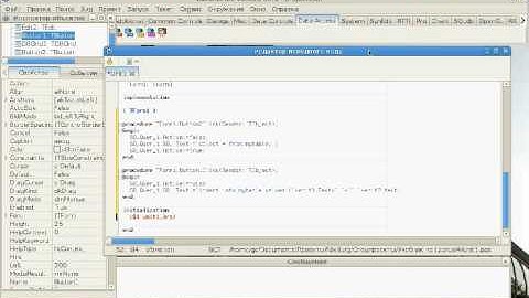 Lazarus, Ввод в курс дела. Видео №3(2). www.NixBurg.ru