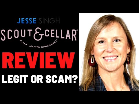 Scout And Cellar Review - Legit Wine Based MLM Company or Scam? (Scout & Cellar)