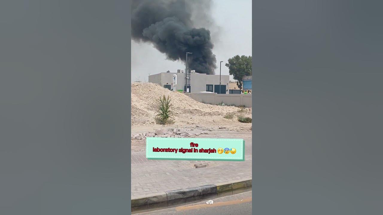 Fire laboratory signal in sharjah youtube