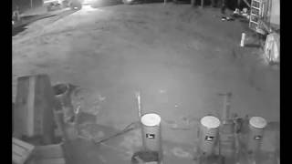 Farm Attackers Stalk Farmer In Warehouse