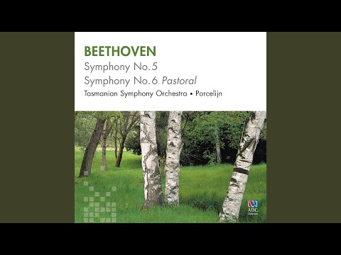 Beethoven: Symphony No. 5 in C Minor, Op. 67 - 1. Allegro con brio