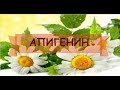 ДОБАВКА АНТИСТАРЕНИЯ И ОМОЛАЖИВАНИЯ - АПИГЕНИН 4.02.2019