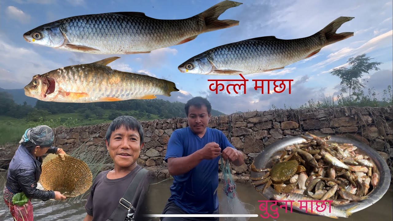 त्यरी जाल मा माछै माछा #villagevlog #min joi