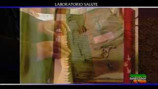 Laboratorio salute: angeli con Rino Capitanata, Giulietta Bandiera e Luciana Trentin 15.01.2015