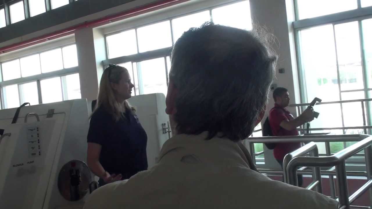 World Champion Stallions of Al Shaqab, Qatar Foundation's equestrian centre