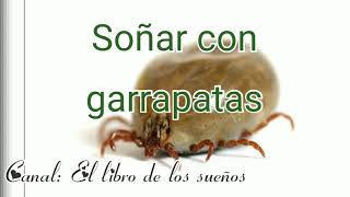 Sonar con garrapatas