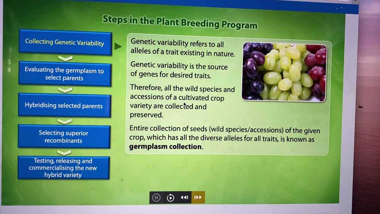 research paper for plant breeding