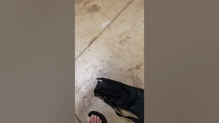 He mele no ka ho'i hou mai o ke ea o ka 'ina