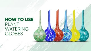 Instructions on How to Use Plant Watering Globes