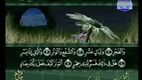 سورة الفجر الشيخ سعد الغامدي