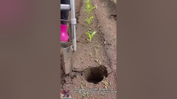 Corn Planter Tool || Smart Farming Innovation Saves Time