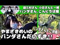 やまざきめいのパンダさんだいすき!!  譜久村さん、小田さんと一緒 ～パンダさん、こんにちは編～