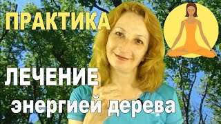 видео Дерево Счастья и Дерево Здоровья и Долголетия. Талисманы фен-шуй.