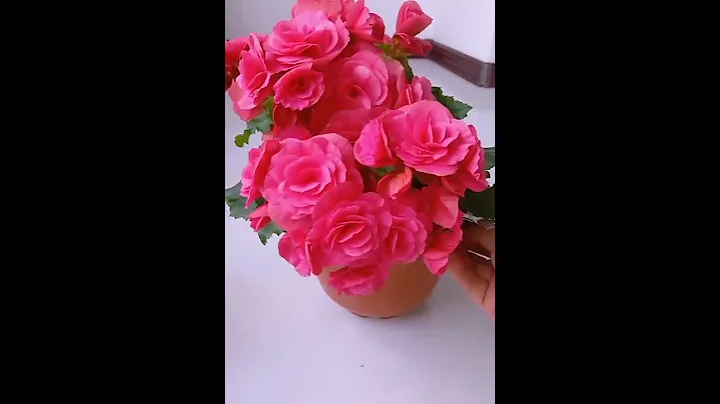 养花小知识  海棠花，大忌。 - 天天要闻