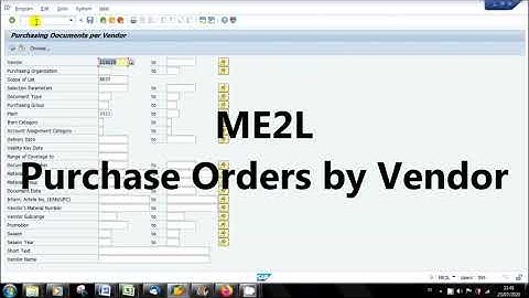 SAP ME2L Purchase Orders by Vendor