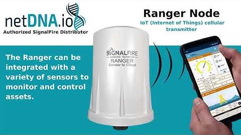 Signal-Fire Ranger Introduction by netDNA