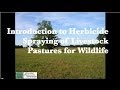 Introduction to herbicide spraying of livestock pastures for wildlife