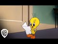 Looney Tunes Super Stars' Tweety & Sylvester: Feline Fwenzy | Admirer | Warner Bros. Entertainment