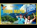 6 lugares que debes visitar en TINGO MARÍA || Suchuriy en Huánuco