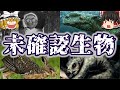 【UMA】世界の未確認生物６選【ゆっくり解説】