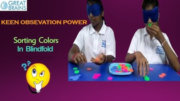 Keen observation  Sorting colors in blindfold. Midbrain Activation By Great Brains.