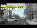 Калининград 🚙 проспект Мира / зима 2021