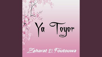 Ya Toyor