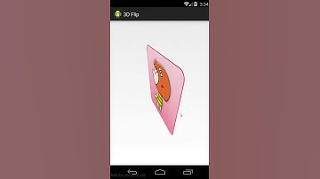 3D flip(dual) - Android Propose