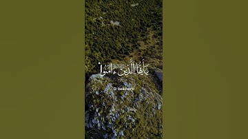 #quran #قرآن #تلاوة_خاشعة #قصص #القرآن_الكريم #حالات_واتس #تيك_توك #ترند #اكسبلور #لايك