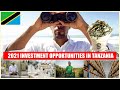 African Business–Top Investment/Business Opportunities in Tanzania 2021