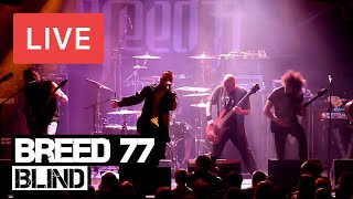 Breed 77 - Blind Live in [HD] @ Electric Ballroom - London 2012