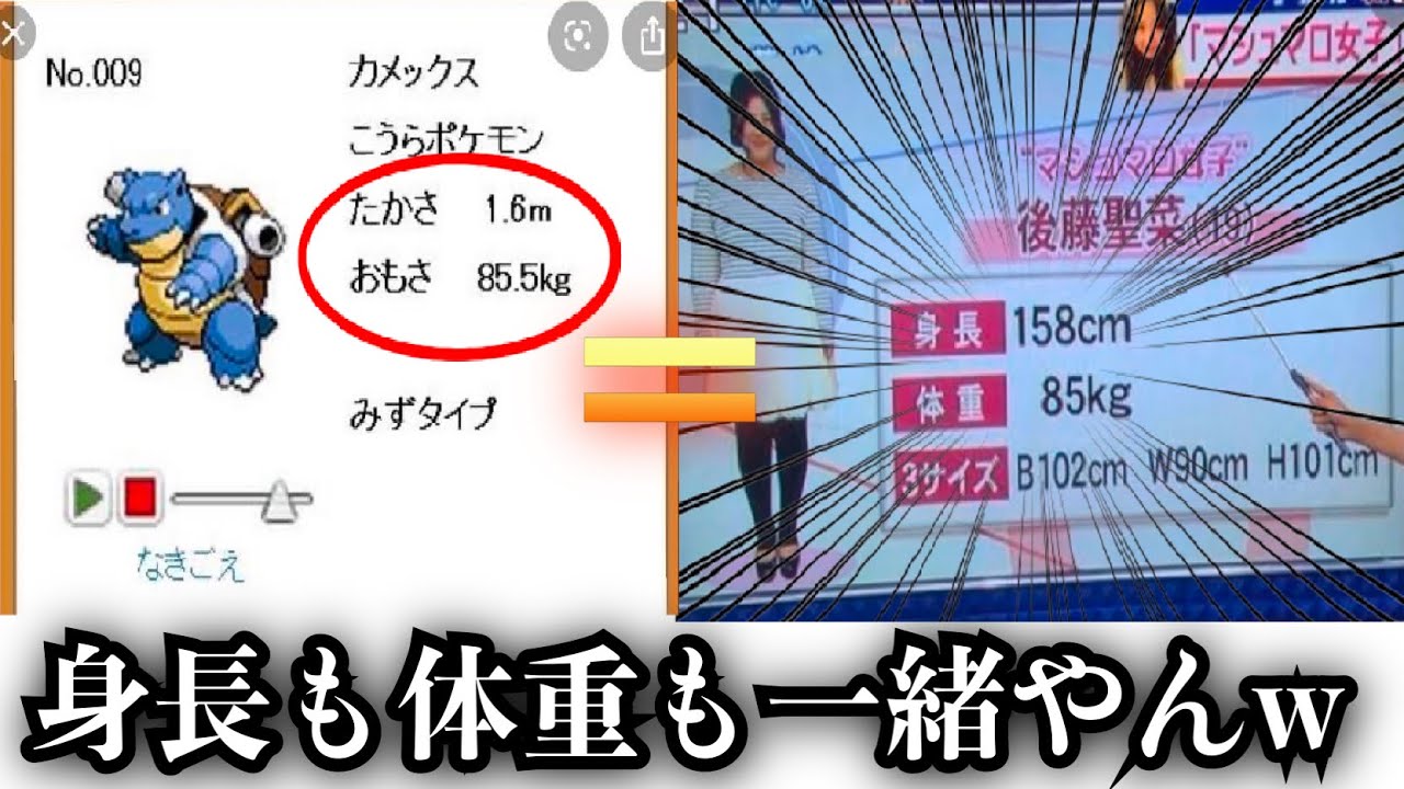 ポケモン カメックスとマシュマロ女子が身長も体重も一緒だった 離婚率 Youtube