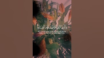 زين للذين كفروا الحياة الدنيا/القارئ طارق محمد