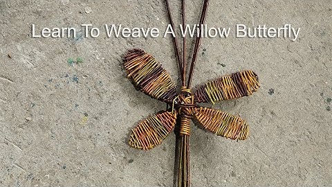 Learn to weave a willow butterfly