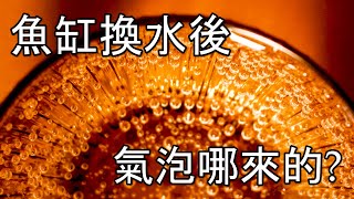#水草新手篇22~Unexpectedly, these things in the water will become bubble tanks