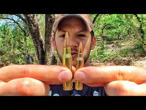 .223 или .308 | Разрушительное ранчо | Перевод Zёбры