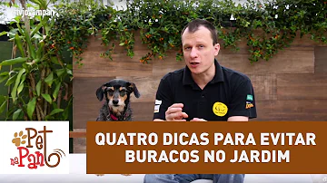 Como proteger o jardim de cachorros?