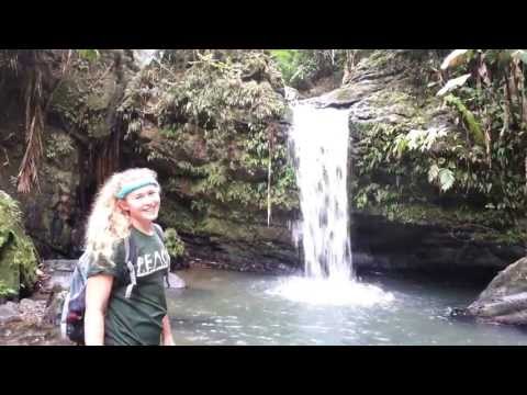 Juan Diego Falls in El Yunque rainforest, Puerto Rico - lower falls