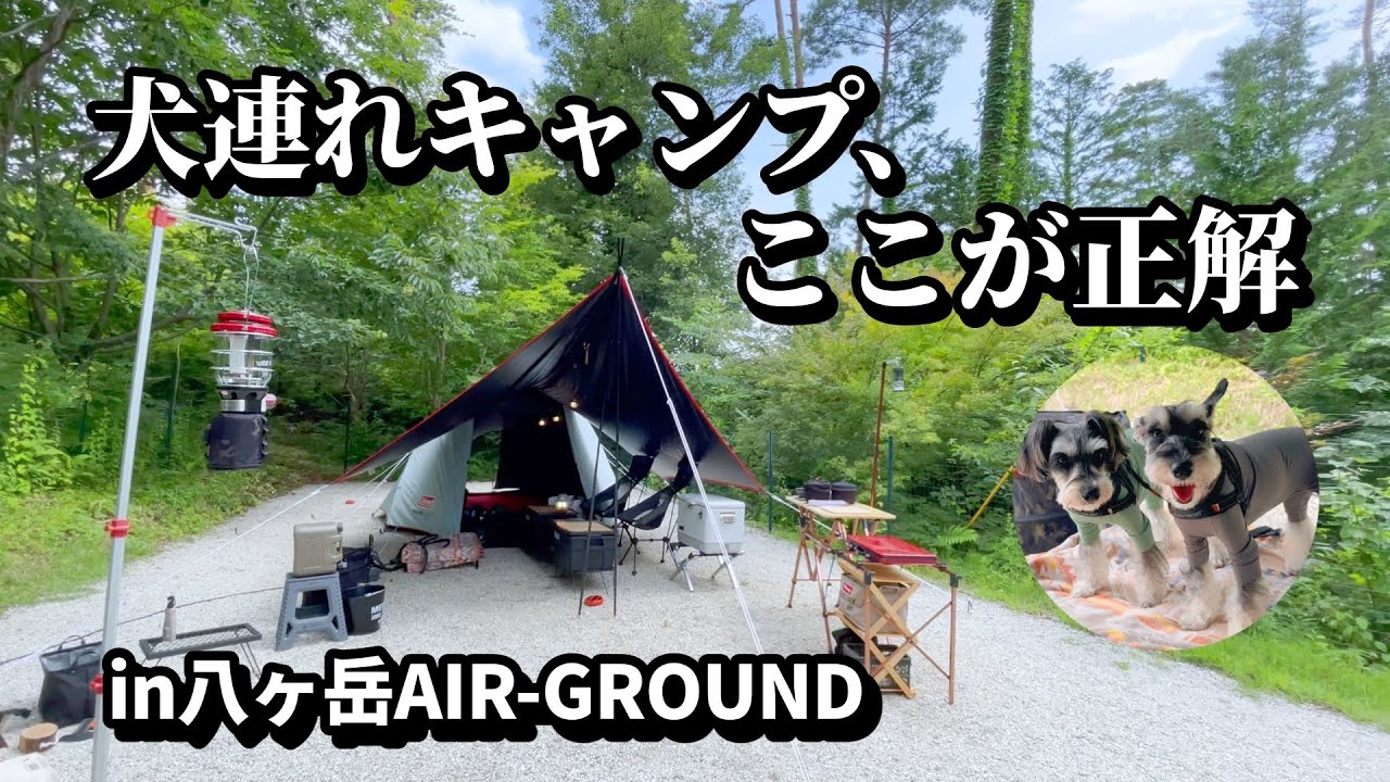 【犬連れキャンプ＠八ヶ岳】まるで貸切！独立型ドッグランサイトが最高だった｜自然と過ごす癒しの休日