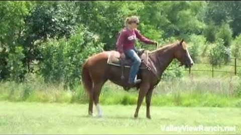 Catarichie  ***For info, price, etc., go to our website***  Valley View Ranch