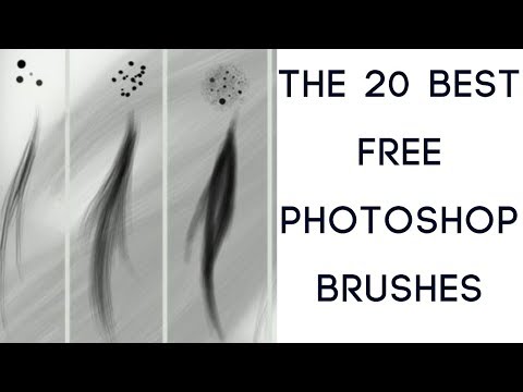 The 20 best