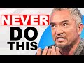 Cesar Millan on the Biggest Mistake Dog Owners Make | Ep. 162
