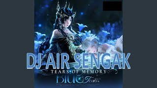 DJ Air Sengak - Lingering Infinity Nikki 2025