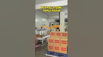Box Palletizing Triple pickup 😉#depalletizer #palletizer #columnpalletizer #stacking