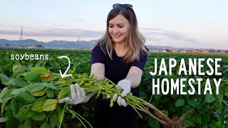 My Japanese Farm Homestay Experience 🌾