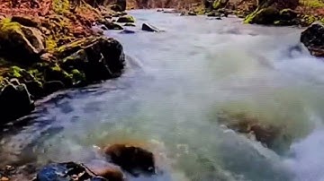 ولو جعلناه قرانا اعجميا لقالوا......سورة فصلت الآية 24