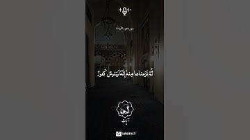 ضعها على الستوري 🤍🤲🏼____________القارئ : ناصر القطامي#القرآن #القرآن_الكريم #explore #religion