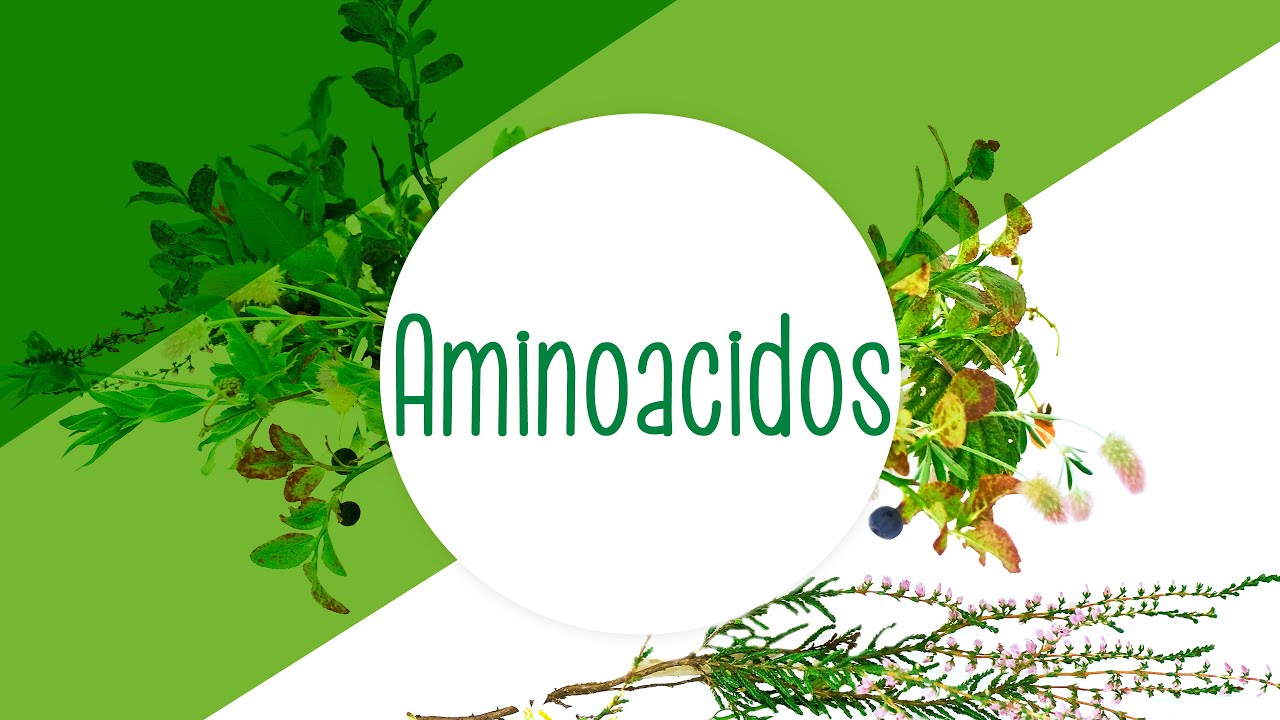 Aminoacidos ramificados contraindicaciones