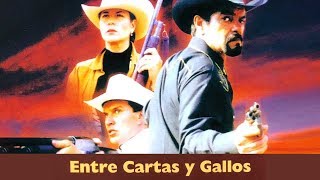 Entre cartas y gallos (1997) | MOOVIMEX powered by Pongalo